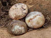 Polished Fossil Flower Agate Palm Stones x 24 From Antsahalova, Madagascar