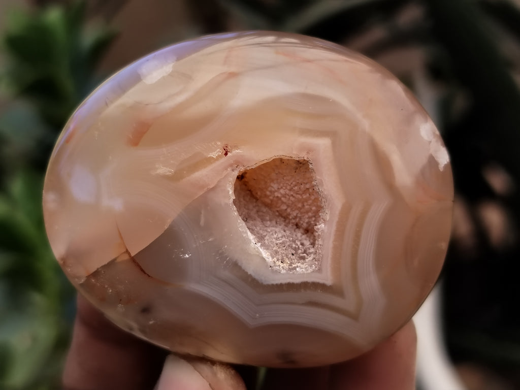 Polished Fossil Flower Agate Palm Stones x 24 From Antsahalova, Madagascar - Toprock Gemstones and Minerals 