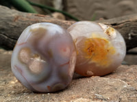 Polished Fossil Flower Agate Palm Stones x 24 From Antsahalova, Madagascar