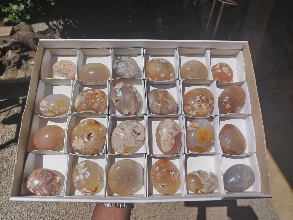 Polished Fossil Flower Agate Palm Stones x 24 From Antsahalova, Madagascar - Toprock Gemstones and Minerals 