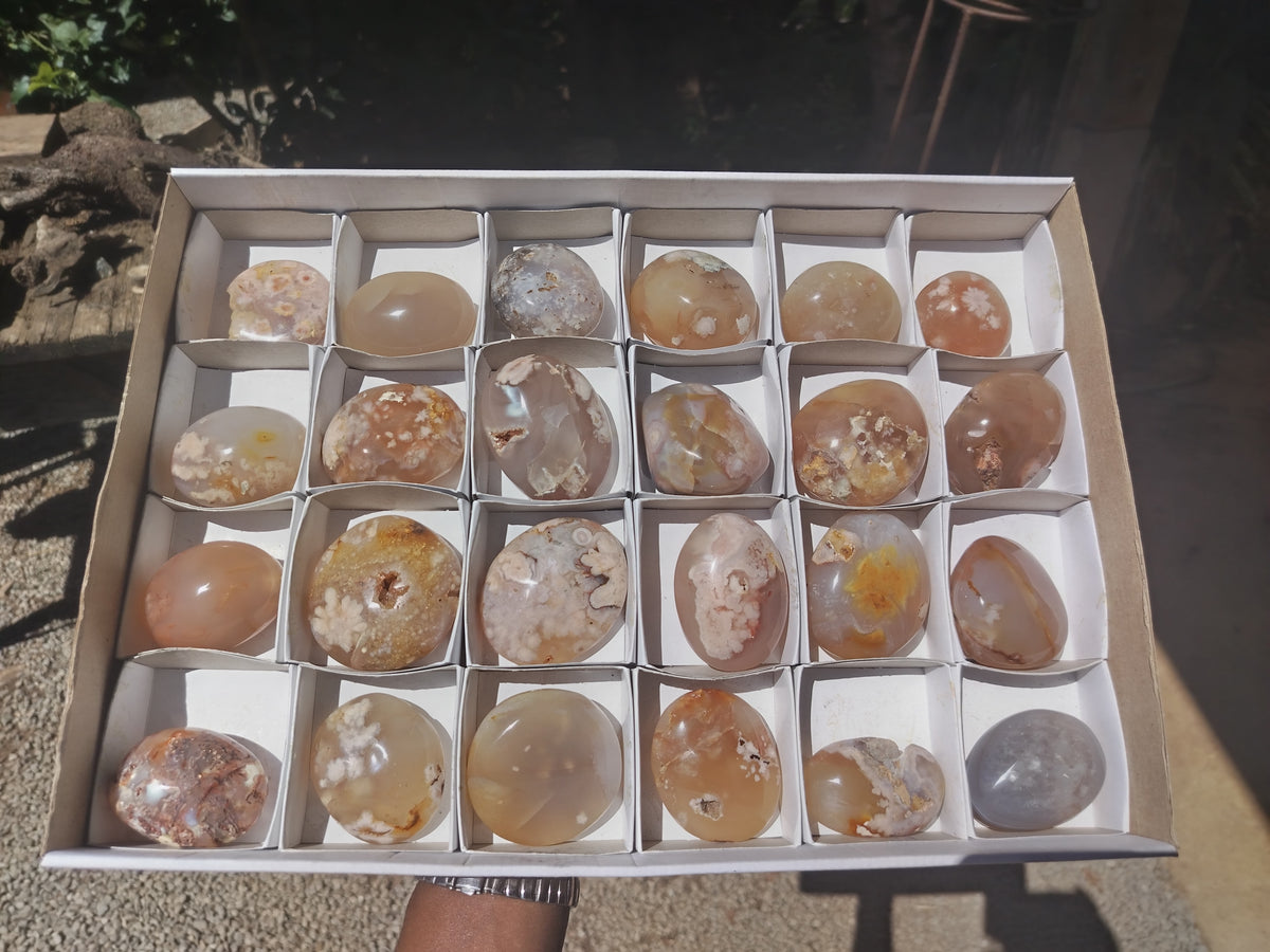 Polished Fossil Flower Agate Palm Stones x 24 From Antsahalova, Madagascar - Toprock Gemstones and Minerals 