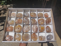 Polished Fossil Flower Agate Palm Stones x 24 From Antsahalova, Madagascar