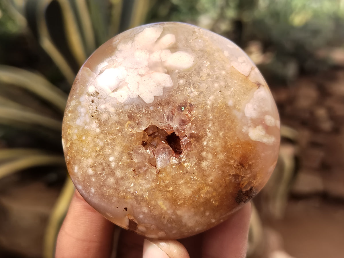 Polished Fossil Flower Agate Palm Stones x 24 From Antsahalova, Madagascar - Toprock Gemstones and Minerals 