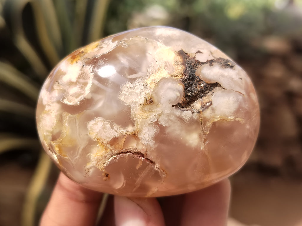 Polished Fossil Flower Agate Palm Stones x 24 From Antsahalova, Madagascar - Toprock Gemstones and Minerals 