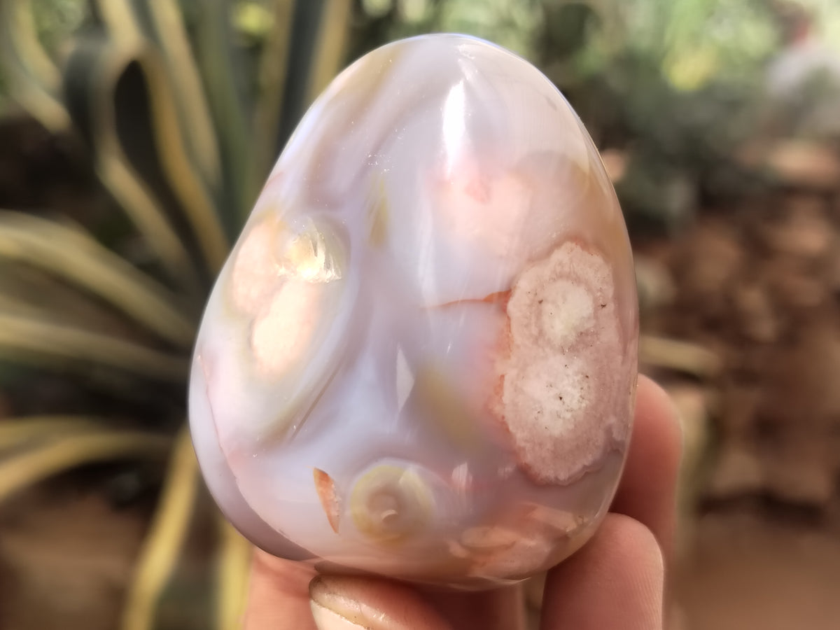 Polished Fossil Flower Agate Palm Stones x 24 From Antsahalova, Madagascar - Toprock Gemstones and Minerals 