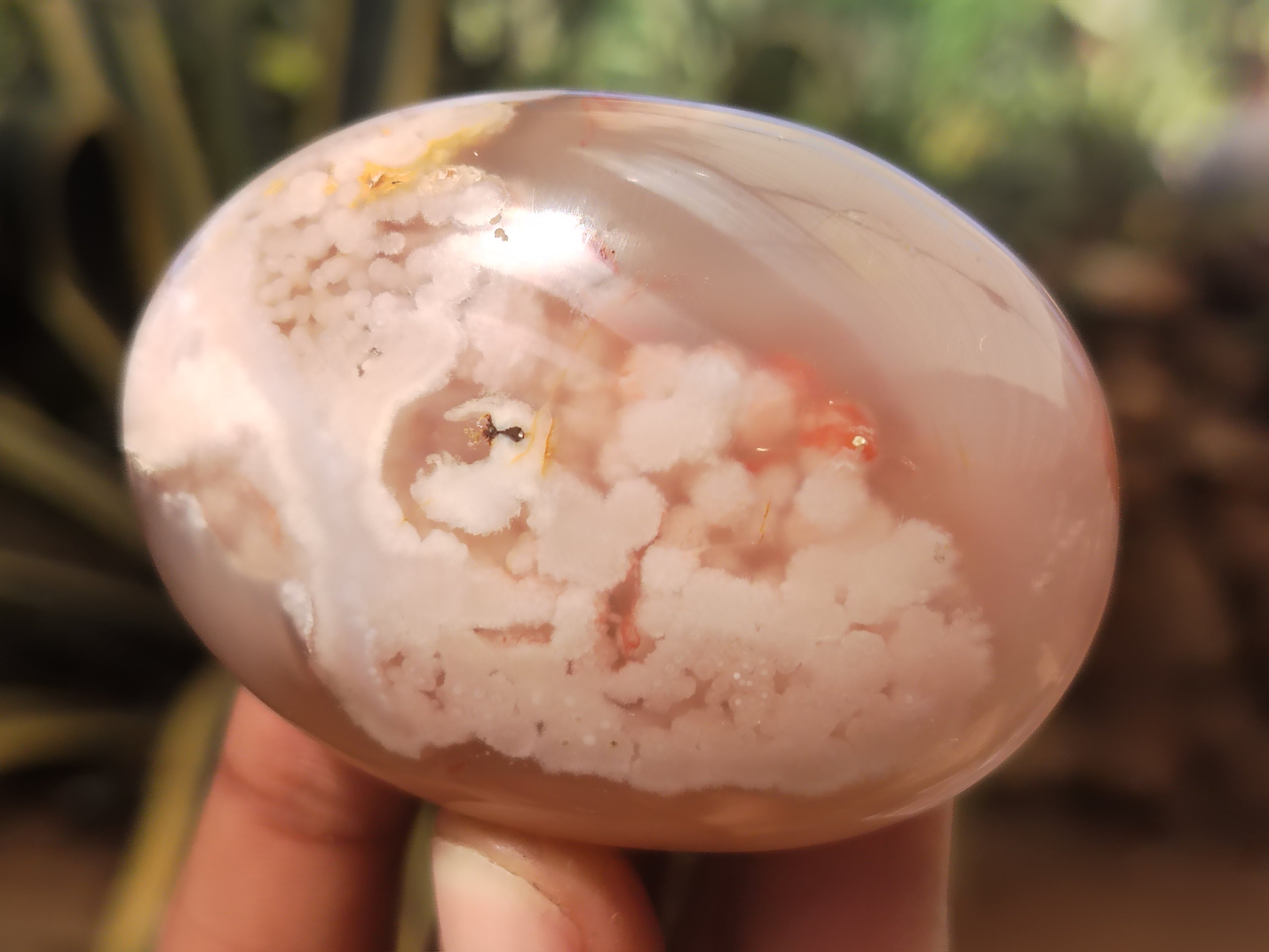 Polished Fossil Flower Agate Palm Stones x 24 From Antsahalova, Madagascar - Toprock Gemstones and Minerals 