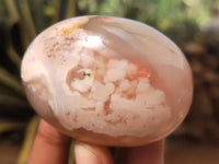 Polished Fossil Flower Agate Palm Stones x 24 From Antsahalova, Madagascar