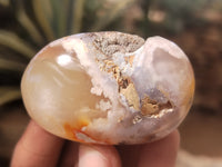 Polished Fossil Flower Agate Palm Stones x 24 From Antsahalova, Madagascar