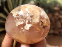 Polished Fossil Flower Agate Palm Stones x 24 From Antsahalova, Madagascar