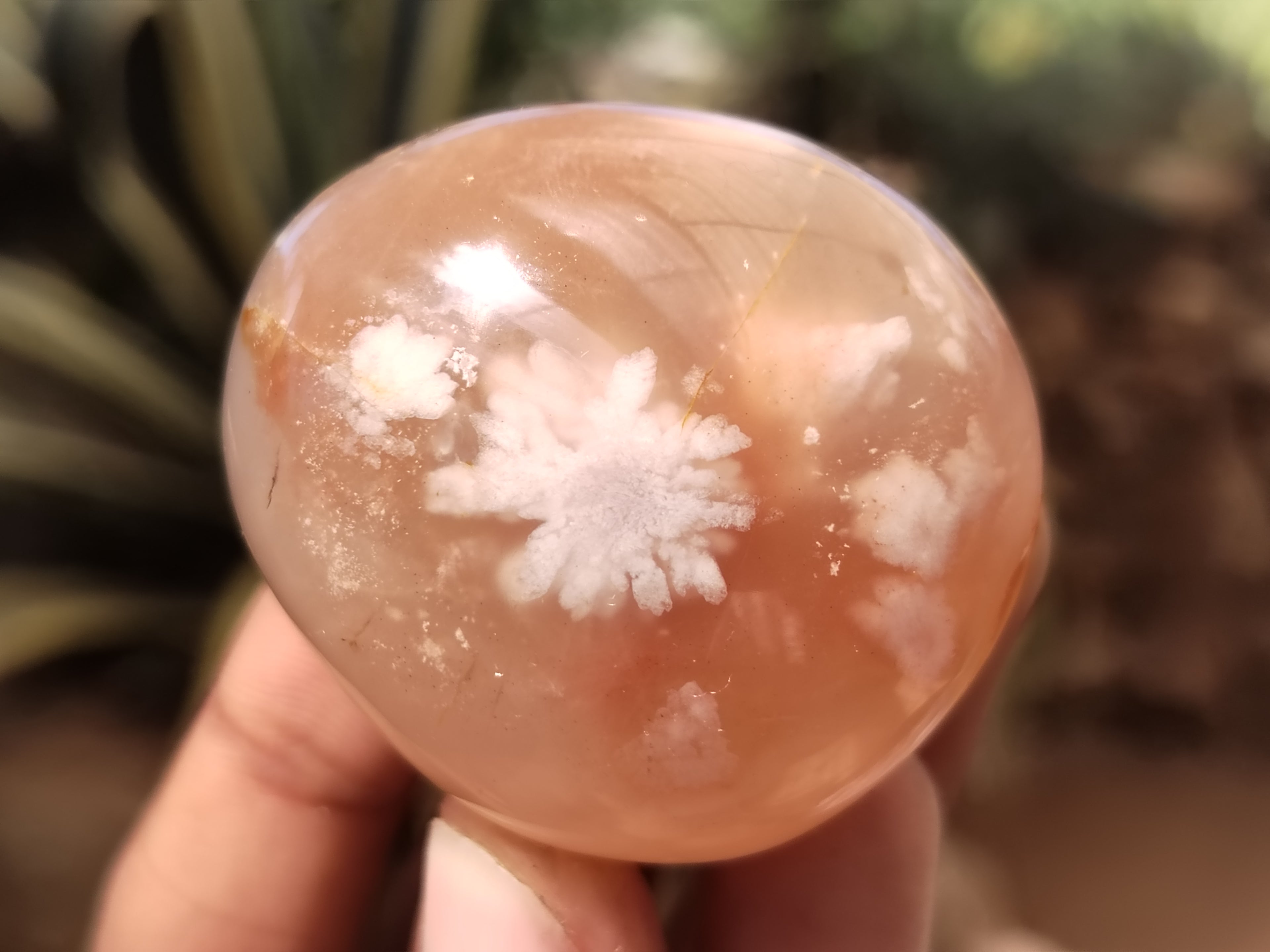 Polished Fossil Flower Agate Palm Stones x 24 From Antsahalova, Madagascar - Toprock Gemstones and Minerals 