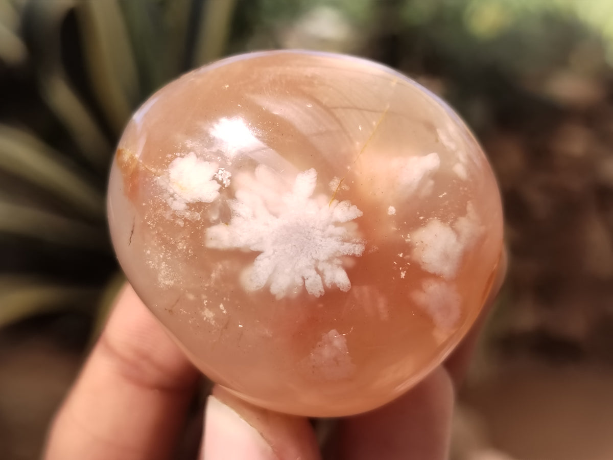 Polished Fossil Flower Agate Palm Stones x 24 From Antsahalova, Madagascar - Toprock Gemstones and Minerals 