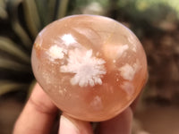 Polished Fossil Flower Agate Palm Stones x 24 From Antsahalova, Madagascar