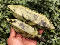 Polished Leopard Stone Double Terminated Points x 4 From Nyanga, Zimbabwe