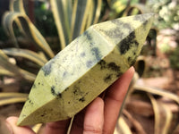 Polished Leopard Stone Double Terminated Points x 4 From Nyanga, Zimbabwe
