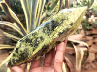 Polished Leopard Stone Double Terminated Points x 4 From Nyanga, Zimbabwe