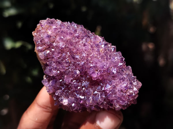 Natural Amethystos Amethyst Plates x 24 From Kwaggafontein, South Africa
