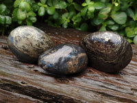 Polished Rare Pharaoh Stone Pyrite in Basalt Free Forms x 7 Iron Duke Mine, Zimbabwe - Toprock Gemstones and Minerals 