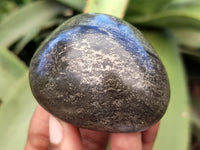 Polished Rare Pharaoh Stone Pyrite in Basalt Free Forms x 7 Iron Duke Mine, Zimbabwe - Toprock Gemstones and Minerals 