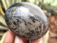 Polished Rare Pharaoh Stone Pyrite in Basalt Free Forms x 7 Iron Duke Mine, Zimbabwe - Toprock Gemstones and Minerals 