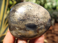 Polished Rare Pharaoh Stone Pyrite in Basalt Free Forms x 7 Iron Duke Mine, Zimbabwe - Toprock Gemstones and Minerals 