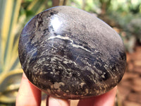 Polished Rare Pharaoh Stone Pyrite in Basalt Free Forms x 7 Iron Duke Mine, Zimbabwe - Toprock Gemstones and Minerals 