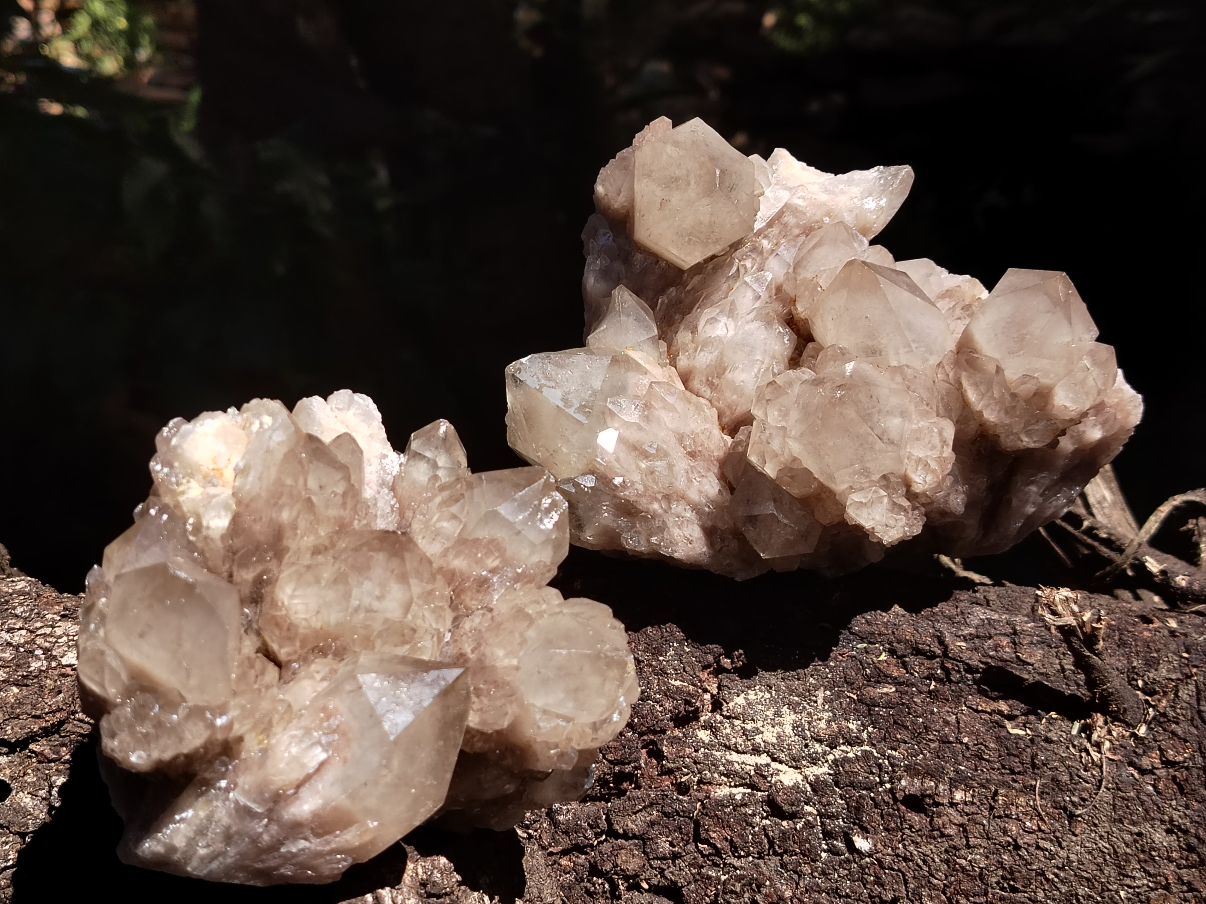 Natural Smokey Phantom Quartz Clusters x 2 From Luena, Congo - Toprock Gemstones and Minerals 