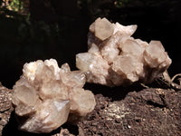 Natural Smokey Phantom Quartz Clusters x 2 From Luena, Congo