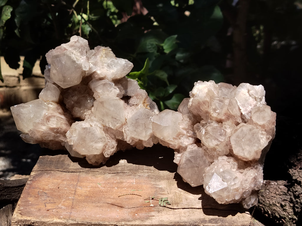 Natural Smokey Phantom Quartz Clusters x 2 From Luena, Congo - Toprock Gemstones and Minerals 