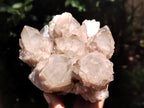 Natural Smokey Phantom Quartz Clusters x 2 From Luena, Congo - Toprock Gemstones and Minerals 