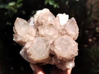 Natural Smokey Phantom Quartz Clusters x 2 From Luena, Congo