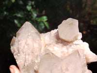 Natural Smokey Phantom Quartz Clusters x 2 From Luena, Congo