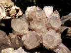 Natural Smokey Phantom Quartz Clusters x 2 From Luena, Congo - Toprock Gemstones and Minerals 