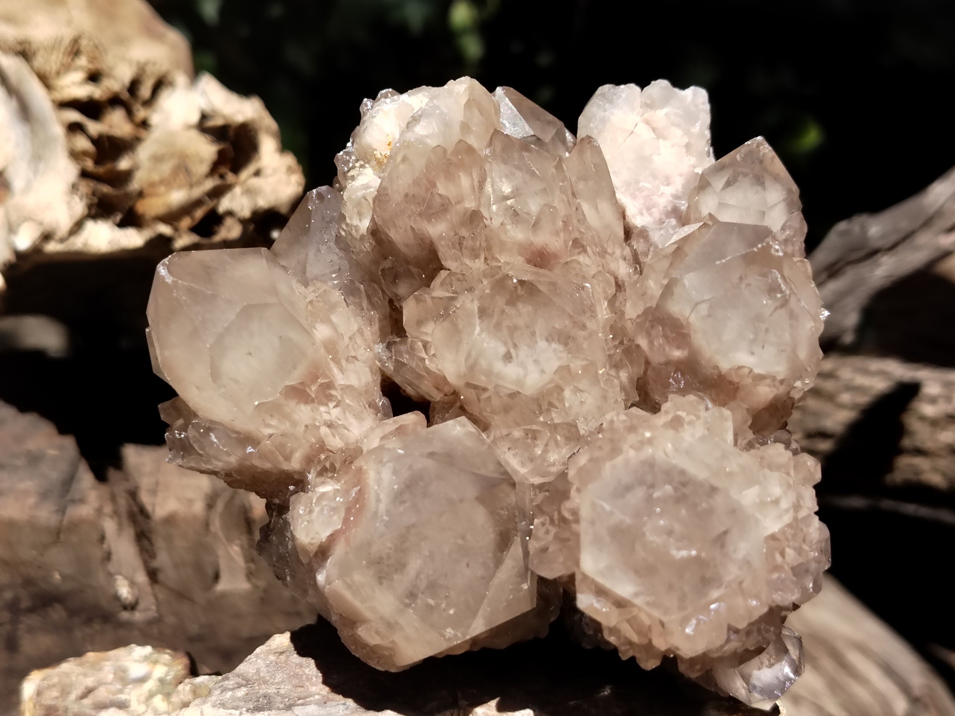 Natural Smokey Phantom Quartz Clusters x 2 From Luena, Congo - Toprock Gemstones and Minerals 