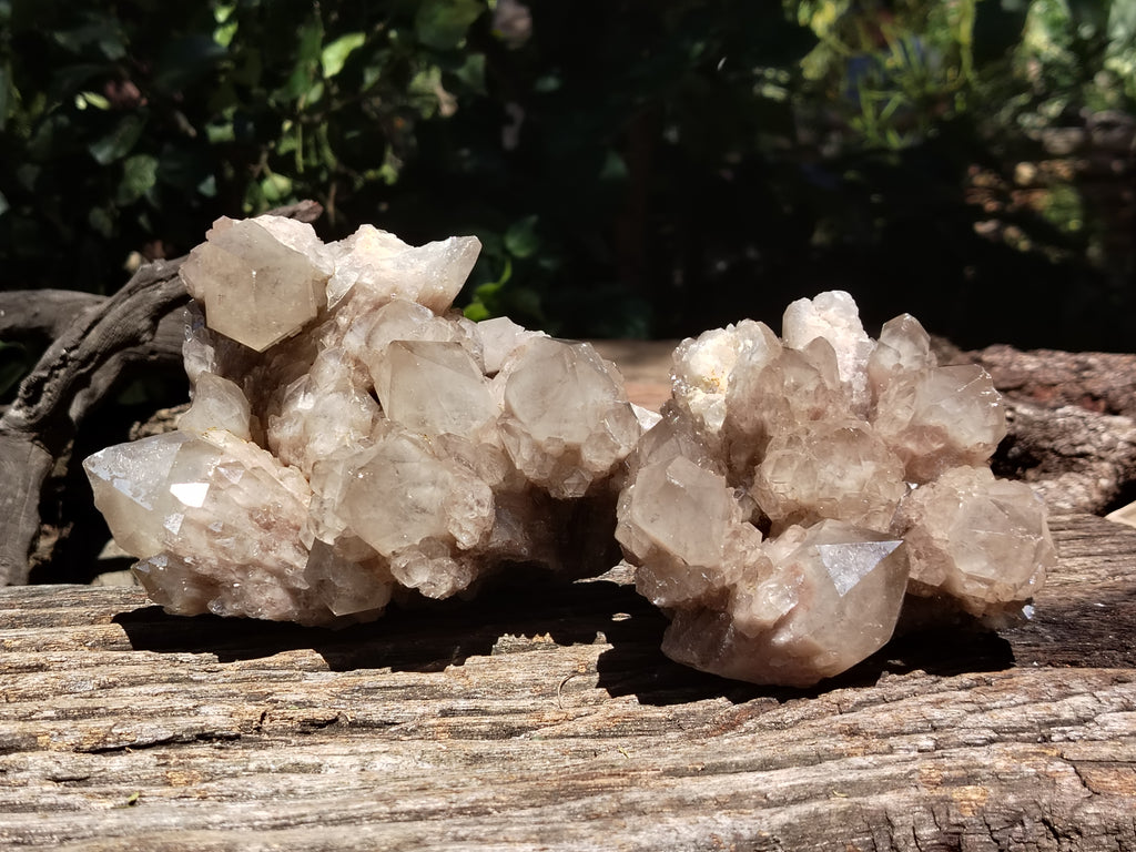 Natural Smokey Phantom Quartz Clusters x 2 From Luena, Congo - Toprock Gemstones and Minerals 