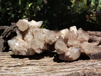 Natural Smokey Phantom Quartz Clusters x 2 From Luena, Congo