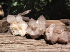 Natural Smokey Phantom Quartz Clusters x 6 From Luena, Congo - Toprock Gemstones and Minerals 