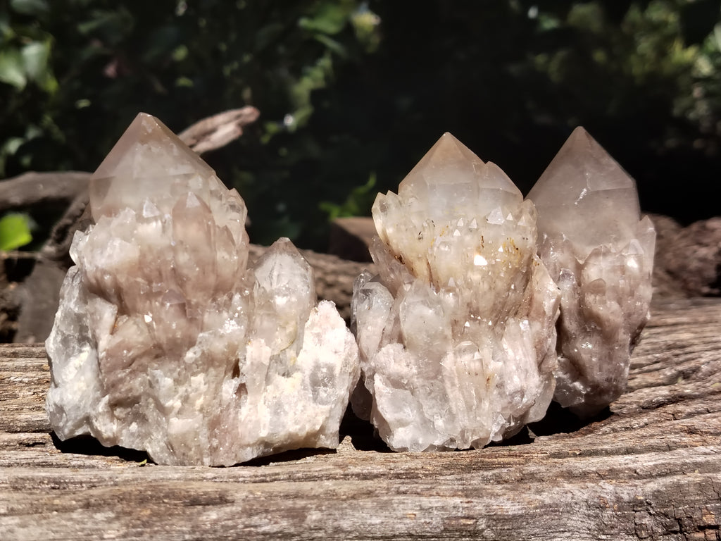 Natural Smokey Phantom Quartz Clusters x 6 From Luena, Congo - Toprock Gemstones and Minerals 