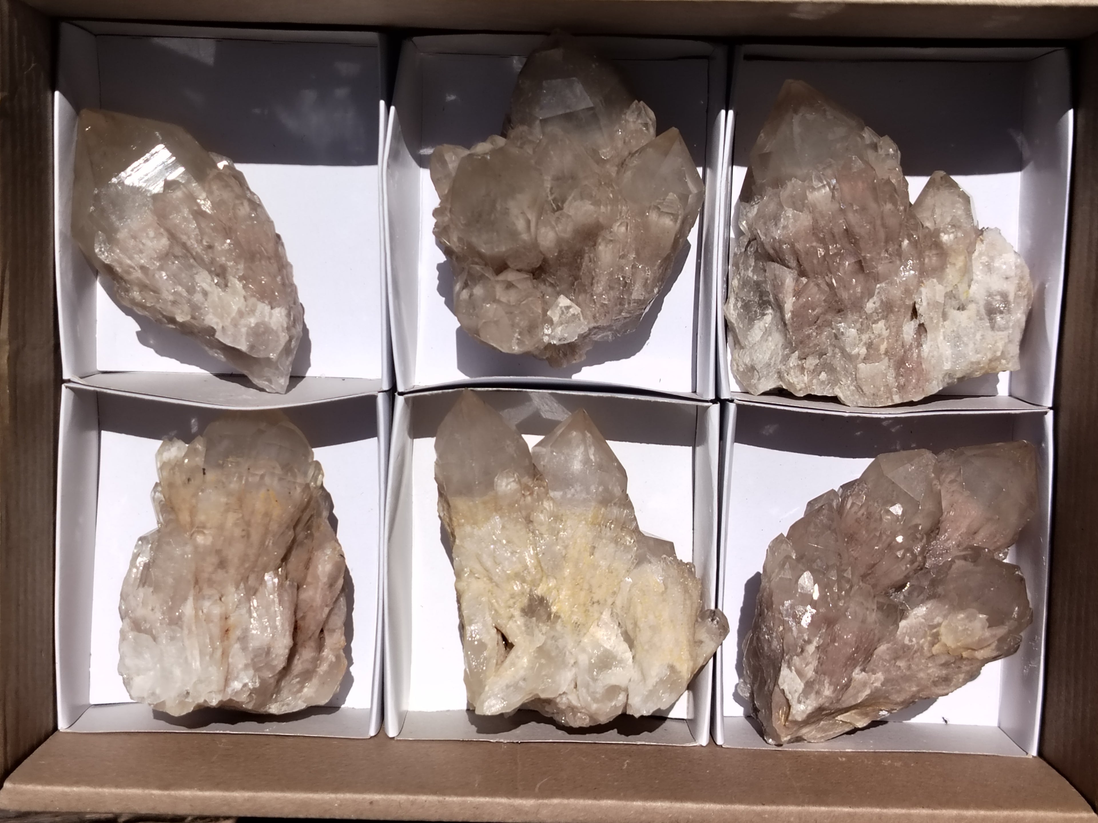 Natural Smokey Phantom Quartz Clusters x 6 From Luena, Congo - Toprock Gemstones and Minerals 