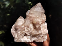 Natural Smokey Phantom Quartz Clusters x 6 From Luena, Congo - Toprock Gemstones and Minerals 
