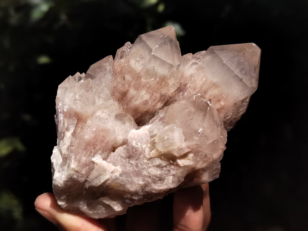 Natural Smokey Phantom Quartz Clusters x 6 From Luena, Congo - Toprock Gemstones and Minerals 