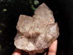 Natural Smokey Phantom Quartz Clusters x 6 From Luena, Congo - Toprock Gemstones and Minerals 