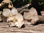 Natural Smokey Phantom Quartz Clusters x 6 From Luena, Congo - Toprock Gemstones and Minerals 