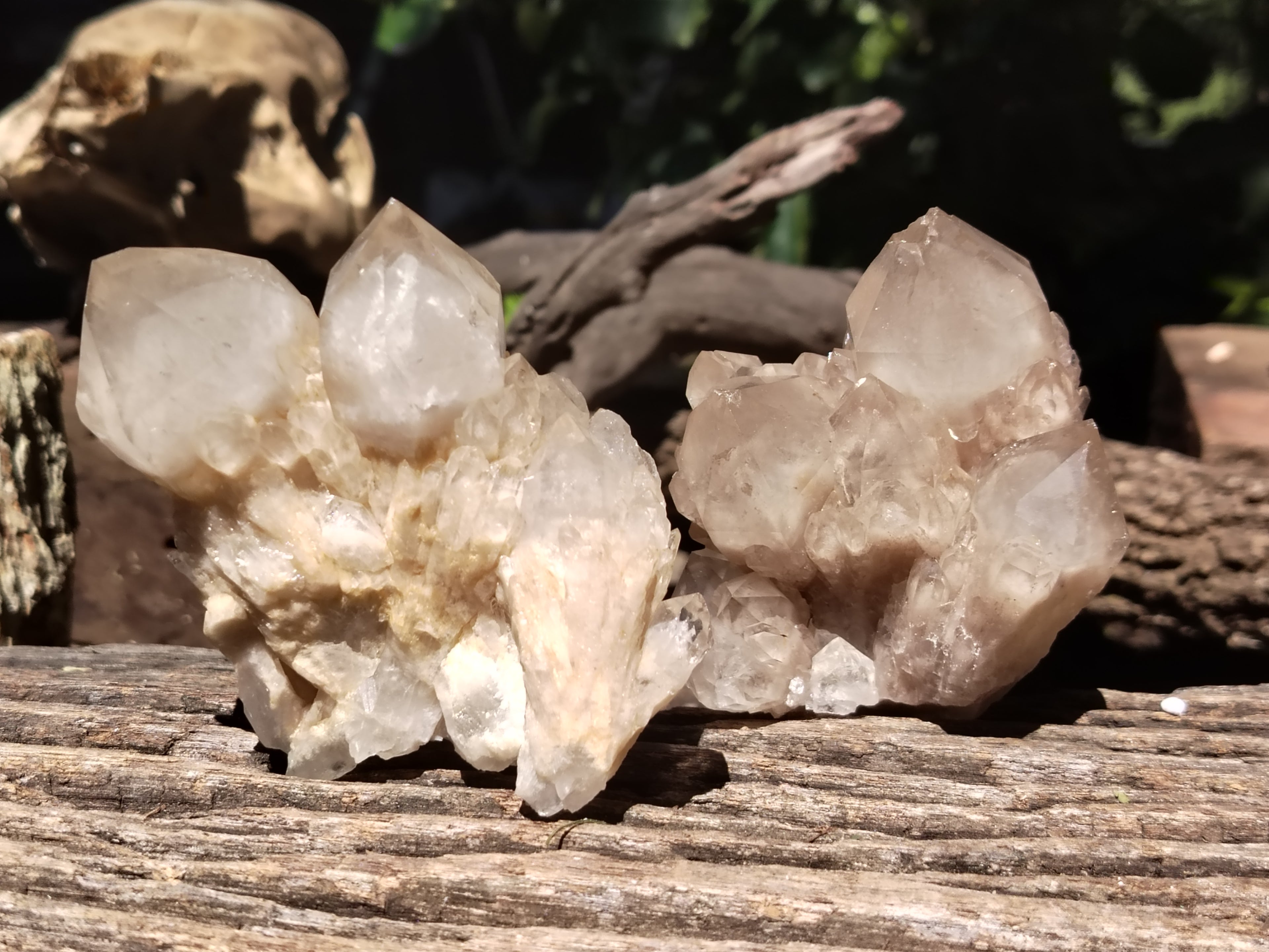 Natural Smokey Phantom Quartz Clusters x 6 From Luena, Congo - Toprock Gemstones and Minerals 