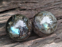 Polished Labradorite Spheres x 6 From Tulear, Madagascar