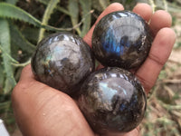 Polished Labradorite Spheres x 6 From Tulear, Madagascar