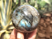 Polished Labradorite Spheres x 6 From Tulear, Madagascar