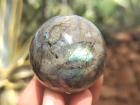 Polished Labradorite Spheres x 6 From Tulear, Madagascar