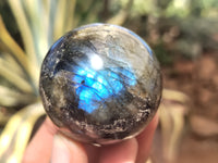 Polished Labradorite Spheres x 6 From Tulear, Madagascar