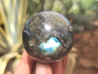 Polished Labradorite Spheres x 6 From Tulear, Madagascar
