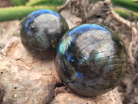 Polished Labradorite Spheres x 6 From Tulear, Madagascar